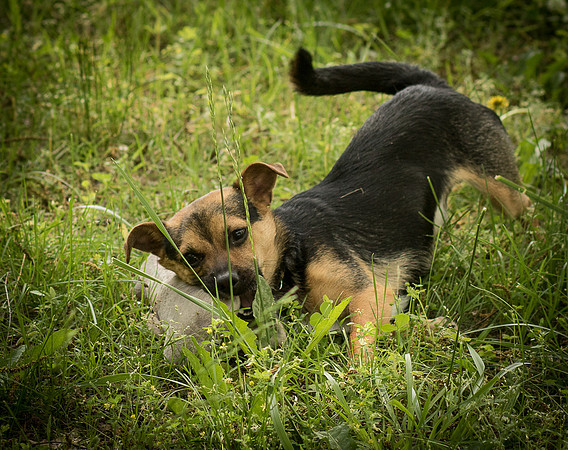 Foster Calvin-0962
