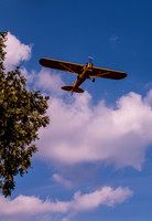 LIA Fly-in-4525