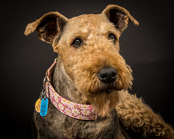 Sammie-7614
