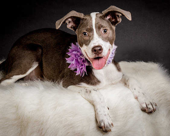 Foster Ari-8618