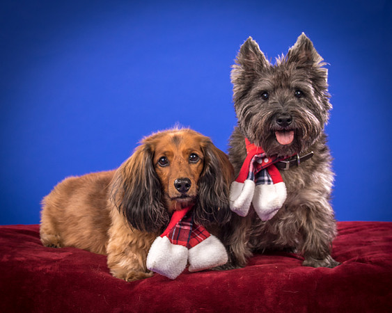 Sauls-Brodie and Baxter-5519