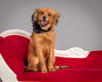 Foster Elyse-3773