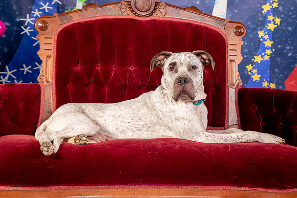 Foster Sylvester-0971