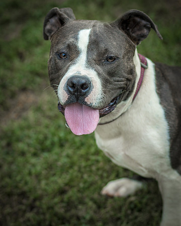 Foster Maya-0279