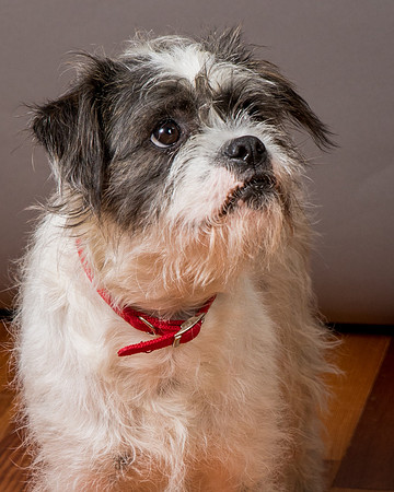 Foster Leeza-2853