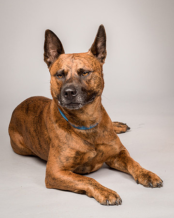 Foster Beans-2306