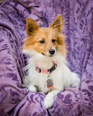 Foster Brandi-3163