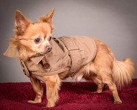 Foster Pancho-9479
