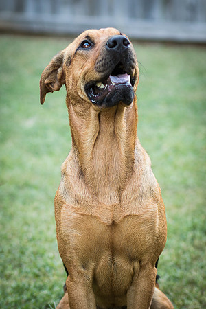Foster Maya-0395