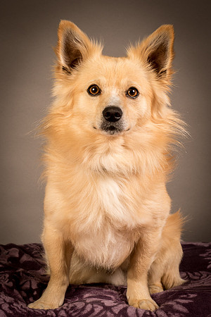 Foster Sergio-8041