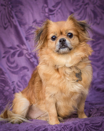 Foster Tia Maria-7915
