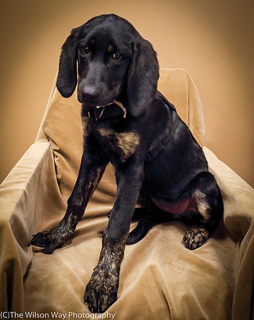 Foster Clementine-1329