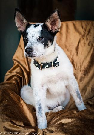Foster Oliver-8938
