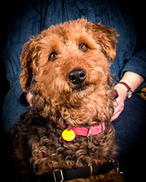 Dixie Lou-7869