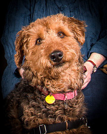Dixie Lou-7869
