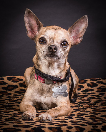 Foster Selina-1245