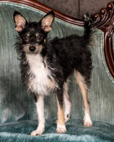 Foster Riley-4827