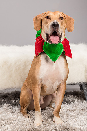 Foster Troy-6278