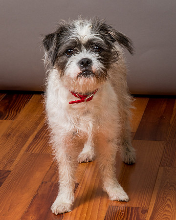 Foster Leeza-2852