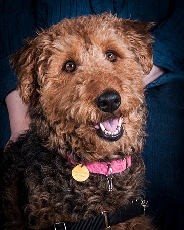 Dixie Lou-5616