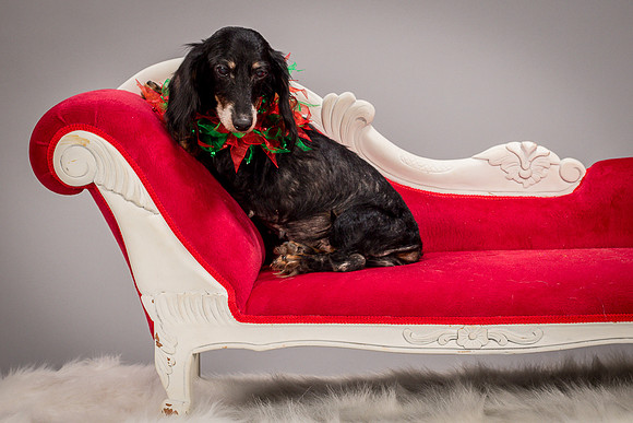 Foster Bernice-3751