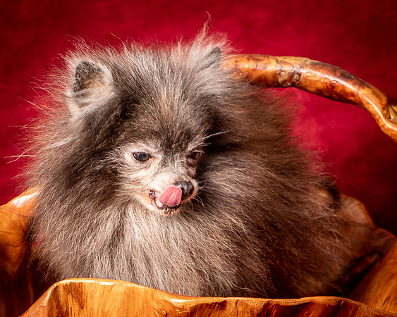 Foster Loretta-1338