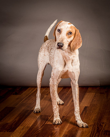 Foster Memphis-2979