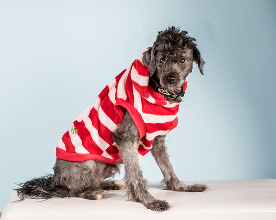Foster Oakland-5562