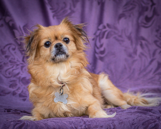 Foster Tia Maria-7833