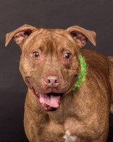 Foster Coco-2057