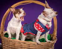 Lucas Diego and Gidget-1880