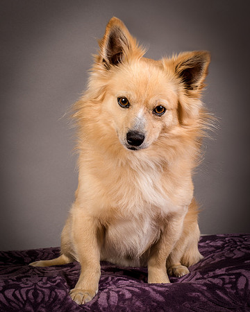 Foster Sergio-8063