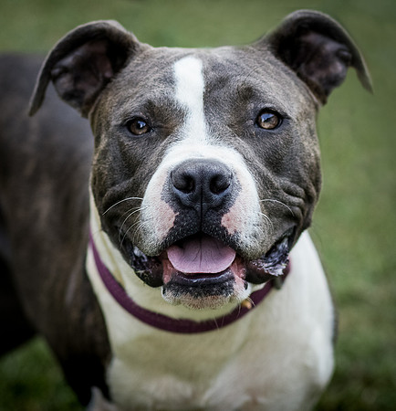 Foster Maya-0246