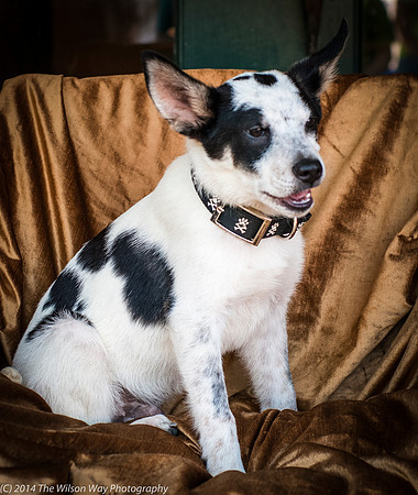 Foster Oliver-8935