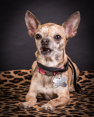 Foster Selina-1217