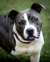Foster Maya-0232