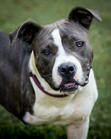 Foster Maya-0232