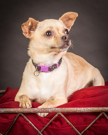 Foster Brielle-0011