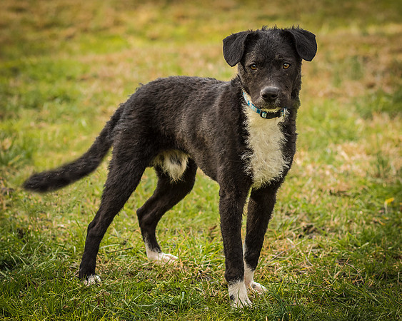 Foster Maynard-9053