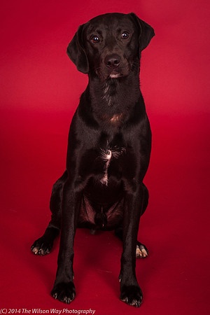Charley-6192