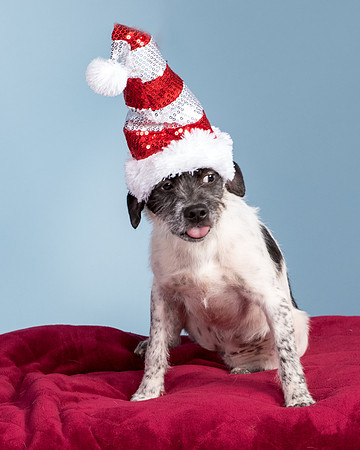 Foster Billie-8191