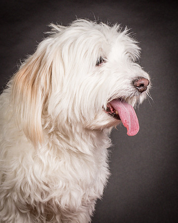 Foster Frosty-0583