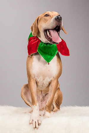 Foster Troy-6283