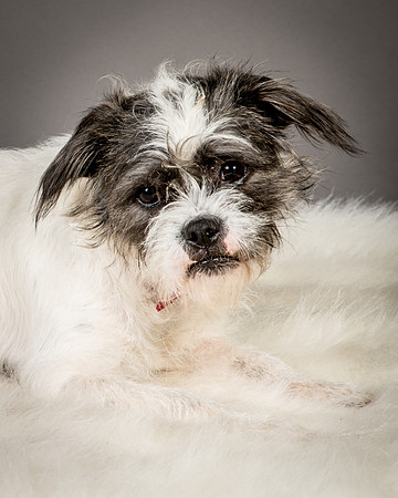 Foster Leeza-2594