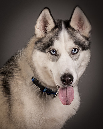 Foster Aspen-7656