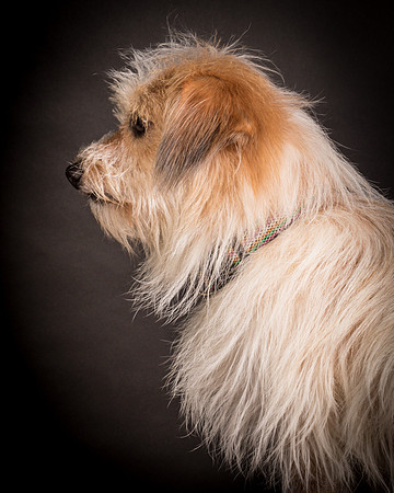 Foster Tiny-1405