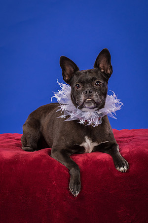 Slattery-Bella-0001