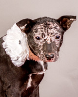 Foster Kendal-8782