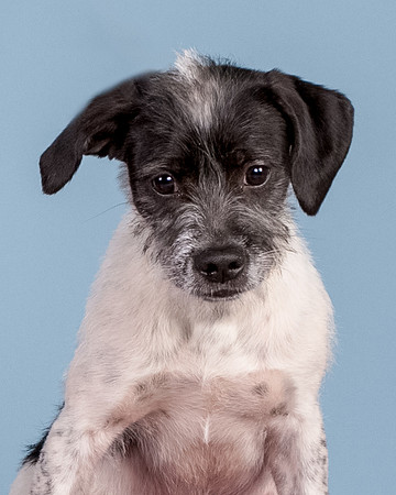 Foster Billie-8177