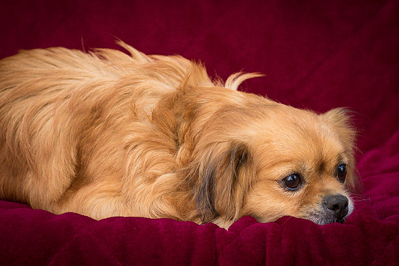 Foster Tia Maria-7944
